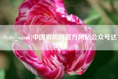 海北中国消防网官方网站公众号达伦特