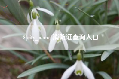 海北消防证查询入口