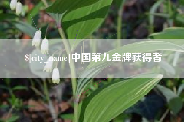 海北中国第九金牌获得者