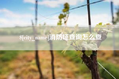 海北消防证查询怎么查