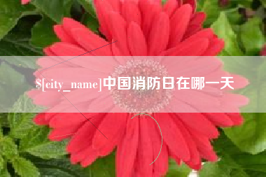 海北中国消防日在哪一天