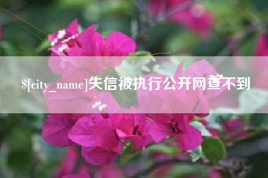 海北失信被执行公开网查不到