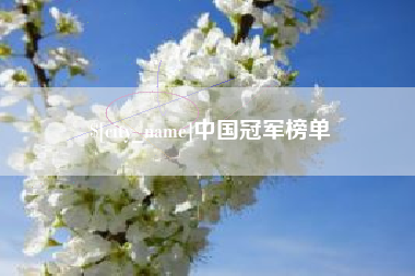 海北中国冠军榜单