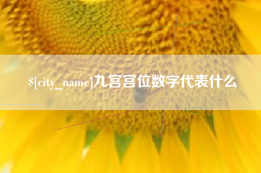 海北九宫宫位数字代表什么