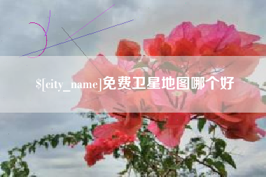 海北免费卫星地图哪个好