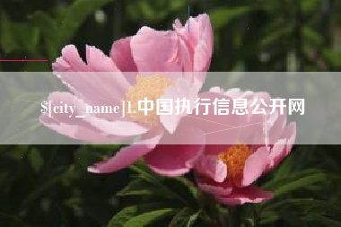 海北1.中国执行信息公开网