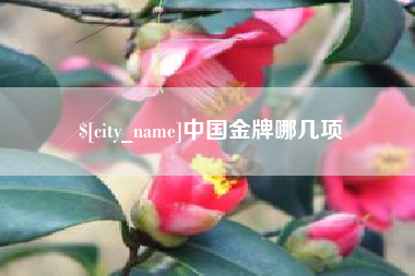 海北中国金牌哪几项