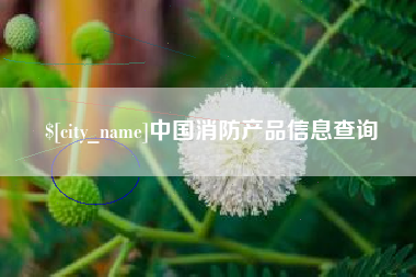海北中国消防产品信息查询