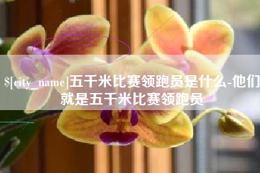 海北五千米比赛领跑员是什么-他们就是五千米比赛领跑员