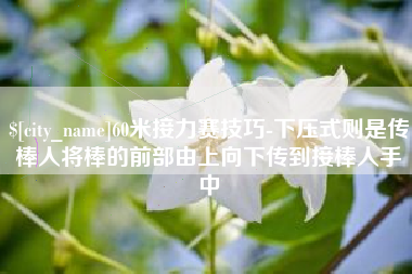 海北60米接力赛技巧-下压式则是传棒人将棒的前部由上向下传到接棒人手中