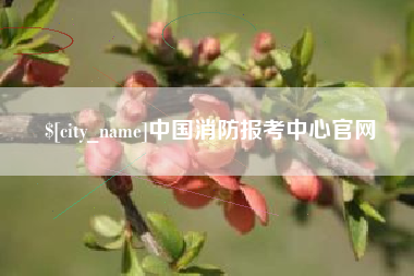 海北中国消防报考中心官网