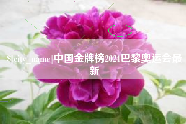 海北中国金牌榜2024巴黎奥运会最新