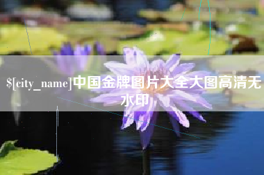 海北中国金牌图片大全大图高清无水印