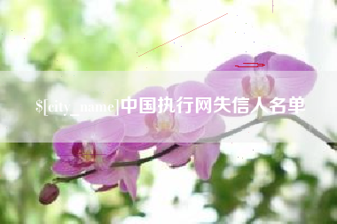 海北中国执行网失信人名单