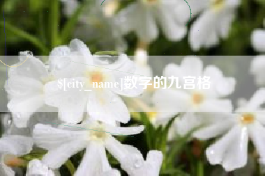 海北数字的九宫格