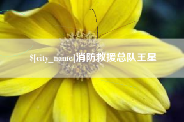 海北消防救援总队王星