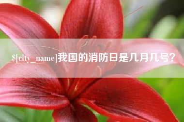 海北我国的消防日是几月几号？