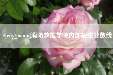 海北消防救援学院内部招生分数线