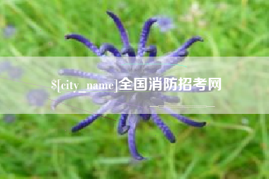 海北全国消防招考网