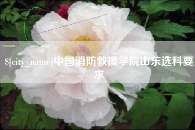 海北中国消防救援学院山东选科要求