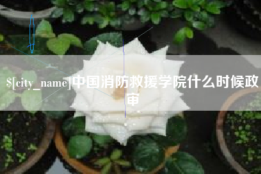 海北中国消防救援学院什么时候政审