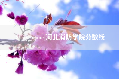 海北河北消防学院分数线