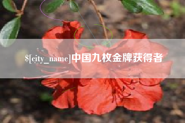 海北中国九枚金牌获得者
