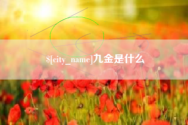 海北九金是什么