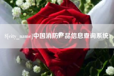 海北中国消防产品信息查询系统1