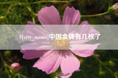 海北中国金牌有几枚了