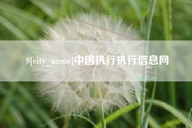 海北中国执行执行信息网