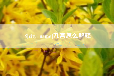 海北九宫怎么解释