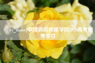 海北中国消防救援学院2020高考报考条件