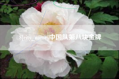 海北中国队第八块金牌