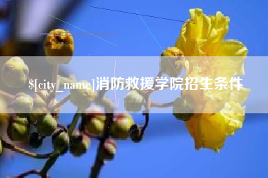 海北消防救援学院招生条件