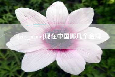 海北现在中国哪几个金牌
