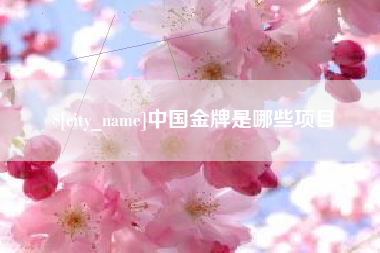海北中国金牌是哪些项目