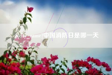 海北中国消防日是哪一天