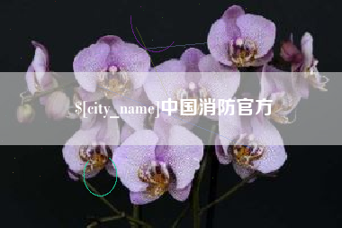 海北中国消防官方