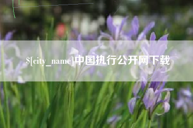 海北中国执行公开网下载