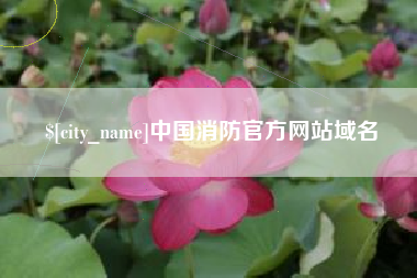 海北中国消防官方网站域名