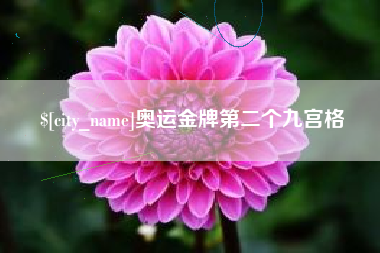 海北奥运金牌第二个九宫格