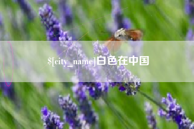 海北白色在中国