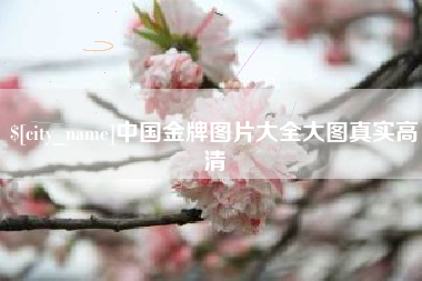 海北中国金牌图片大全大图真实高清
