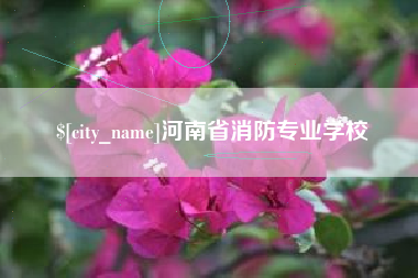 海北河南省消防专业学校