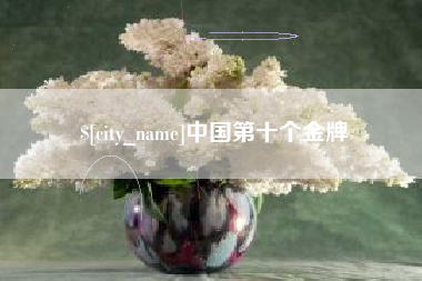 海北中国第十个金牌