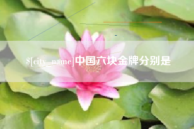 海北中国六块金牌分别是