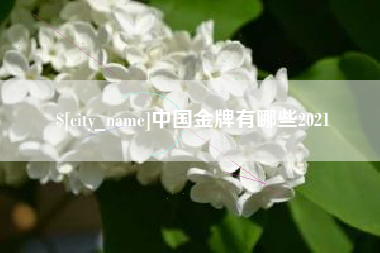 海北中国金牌有哪些2021