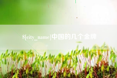 海北中国的几个金牌