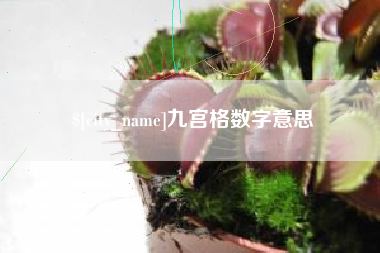 海北九宫格数字意思